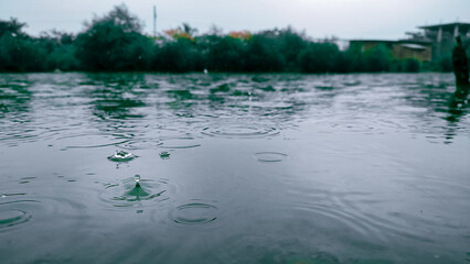 Rain drops falling in the lake.