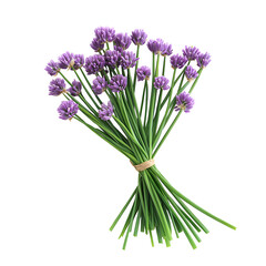 Fototapeta premium Purple Chive Flowers Bouquet Fresh Herbs Black Background,