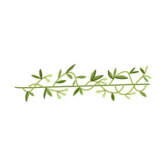 rustic olive border divider cartoon vector illustration