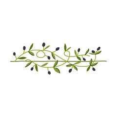 botanical olive border divider cartoon vector illustration