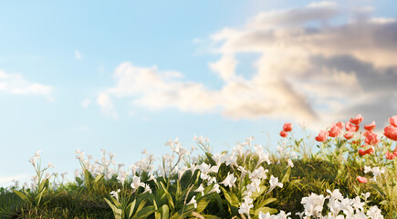 Hills with grass Under Clear Sky. 3D rendering.	
