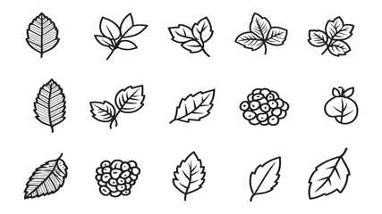 Blackberry leaf natural detailed leaf art