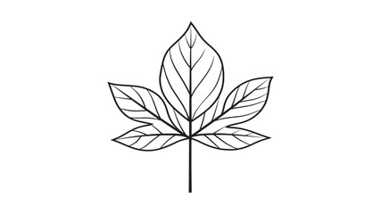 Cauliflower leaf healthy diet vegetable source