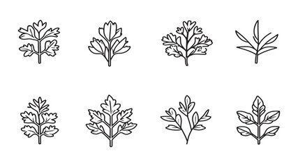 Chestnut leaf tree seasonal nature pattern