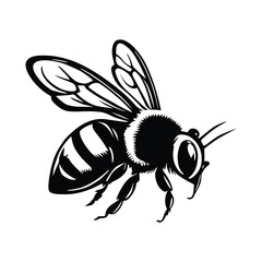 bee on white background