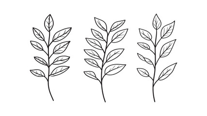 Curry leaf simple elegant nature illustration