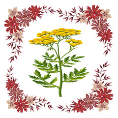 set of different flowers