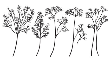 Dill leaf elegant green leaf art