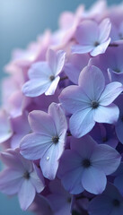 A close-up of delicate pink-purple hydrangea petals with dew drops, created by AI. A soft, airy background for a phone wallpaper. 