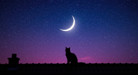 Silhouette of a Cat on a Roof Underneath a Crescent Moon and Starry Night Sky