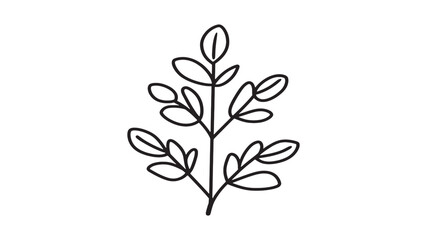 Fenugreek Methi Leaf Herbal Green Design