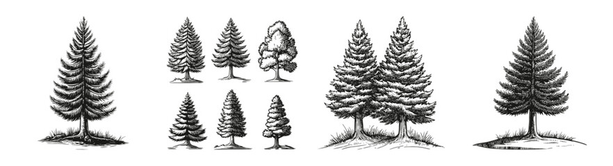 Hand-Drawn Silhouettes of Various Trees for Creative Backgrounds