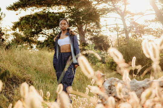 Sunset in a forest setting