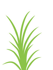 Green grass illustration