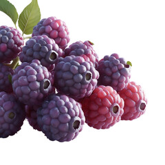 Fototapeta premium Fresh Ripe Blackberries with Green Leaves on White Background