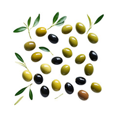 Fresh Green and Black Olives with Olive Branches A Culinary Still Life