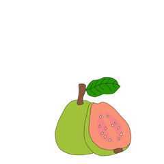 fruit