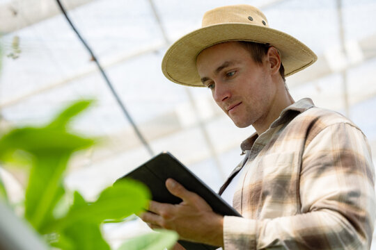 Young farmer using digital tablet inspecting fresh vegetable in organic farm