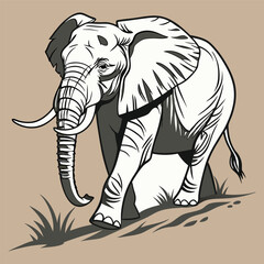 Various Elephant Poses Cartoon Vector Illustration