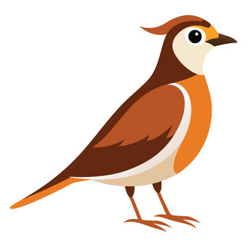 A beautiful skylark bird vector illustration