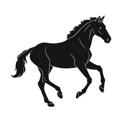 black horse on white background