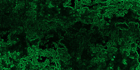 Abstract dark, texture with a complex network of glowing neon green contour lines and organic patterns. Black, while the electric green filaments form chaotic, squiggly paths across the canvas,