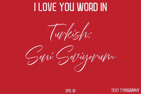 Turkish Seni Seviyorum   -  I Love You Word Typography Cursive Text