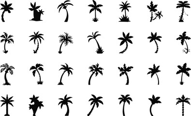 palm tree silhouettes vector set for tropical themes victor