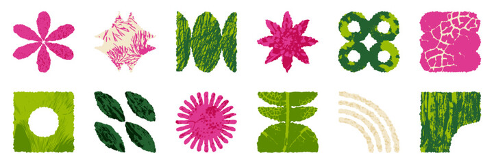 Set of graphic geometric assets with a brutalism elements. Vector modern nature shapes in eco rewilding aesthetic. Isolated illustration for stickers, poster, collage, design template