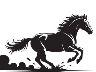 black horse on white background