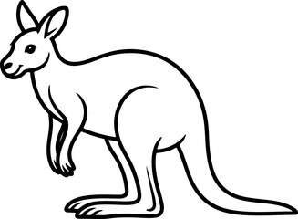 Kangaroo silhouette and line art vector illustration.