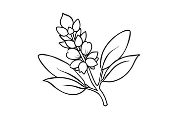 Line art illustration of a Baptisia australis flower.eps