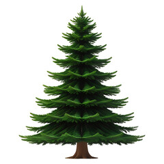 Fototapeta premium Classic Evergreen Pine Tree