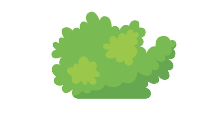 vector illustration of a green leaf