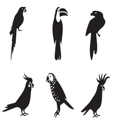 Set of vector birds