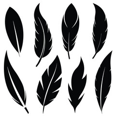 Eight Black Feather Silhouettes Decorative Feather Designs for Crafts and Illustration Projects