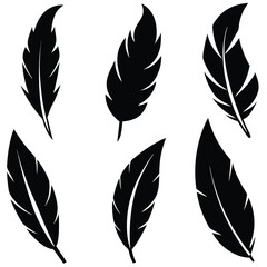 Six Black Feather Silhouettes Illustration Artistically Arranged on a Clean White Background