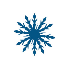 snowflake vector icon