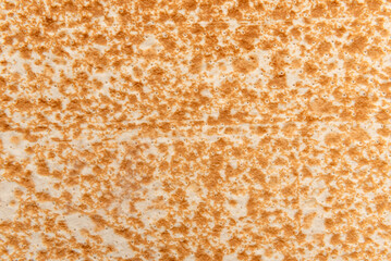 Texture of pizza pancake. Baking. Dough. Pizza