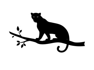 Majestic Leopard Perched On A High Tree Branch