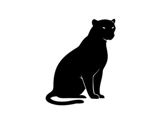 High Contrast Studio Style Portrait Of A Leopard S