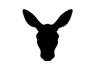 Close Up Of A Red Kangaroo S Head And Upper Body