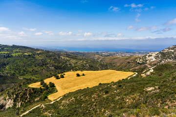 Panoramic aerial view of picturesque landscape of Cyprus. Golden field. Hills, mountains covered with greenery, shining line of Mediterranean Sea can be seen in distance.