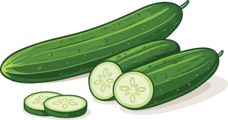 Cucumber illustration vector design, Cucumber with cucumber slice in white background vector design
