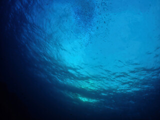 Looking up the surface of water in the morning