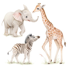 Watercolor Baby Animals isolated on transparent background 2