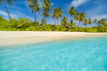 Dream summer beach with clear turquoise sea, soft white sand, lush palm trees. Sunshine tropical island paradise. Perfect sunny vacations, seaside tourism, stunning exotic landscape. 