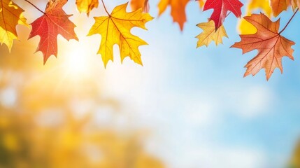 Autumn Maple Splendor, vibrant leaves in golden and red hues, sunlight filtering through trees, creating a serene natural backdrop