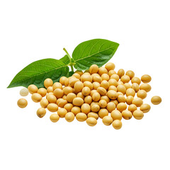 Soybeans HighQuality Image isolated on transparent background