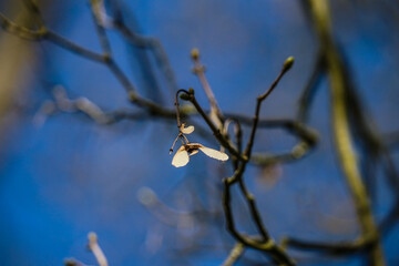 April - Fühling - Spring